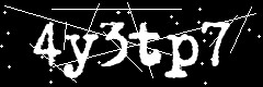 图形验证码