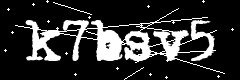 图形验证码