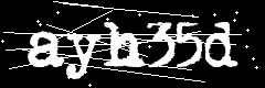 图形验证码